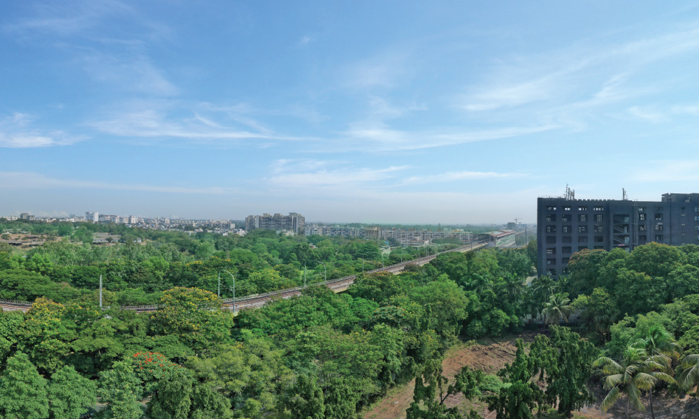 View