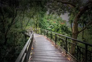 Broadwalk